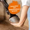 Ida Plus – Wund Spray für Hunde, Katzen, Pferde & mehr 200 Produktbild-Vorschau 4