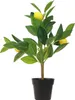 Decoris Künstlicher Zitronenbaum de 43 cm im Topf, Produktbild-Vorschau 4