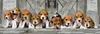 Puzzle CLE 1000 Panorama Compact Beagles 39869 Voir les images du produit 3