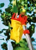 WOLF-GARTEN MS-Obstpflücker RG-M mit Gelenk, multistar Produktbild-Vorschau 6