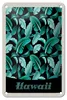 Blechschild Reise 12x18cm Hawaii Insel Strand Blätter blau Produktbild-Vorschau 1