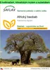 SAFLAX Garden to go - Africký baobab - Adansonia digitata - Náhled obrázku produktu 1