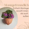 4er Set Blumentopf Wand Blumentopf Wandmontage Produktbild-Vorschau 5