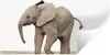 MuchoWow® Wandtattoo Wandsticker Wandaufkleber Baby-Elefant Produktbild-Vorschau 1