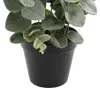 Mica Decorations Eucalyptus plante artificielle dans pot de Voir les images du produit 4