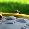 Ape farfalla abbeveratoio rotondo giallo 27cm vasca da Anteprima dell’immagine prodotto 3