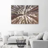 Leinwandbild hohe kiefern 60x40 cm Feeby braun wandbild Produktbild-Vorschau 2