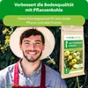 Purgrün -Quittenbaum-Dünger 1 kg, Produktbild-Vorschau 2