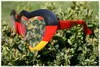 Riesenbrille FAN, Herzbrille, Deutschland, Fanartikel, Produktbild-Vorschau 3