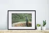 MuchoWow® MuchoWow® Gerahmtes Poster Pfau - Wand - Wald Produktbild-Vorschau 4