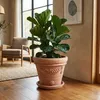 Teramico Premium Terracotta Untersetzer Ø 42 cm | Frostfest Produktbild-Vorschau 7