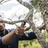 Fiskars Plus užlenkiamas pjūklas SW69 Podgląd zdjęcia produktu 16