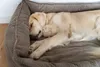 Hundebett Orthopädisches große Hunde, Waschbar Hundesofa Produktbild-Vorschau 8