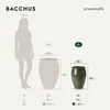 Wysoka donica ogrodowa ceramiczna Provencelia BACCHUS, Podgląd zdjęcia produktu 6