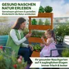 TTL GARDEN Vertikal Hochbeet 4 Etagen Holz – Kräuterbeet Produktbild-Vorschau 5