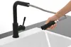 Villeroy & Boch 96970106 Küchenarmatur Steel Shower 969701 Produktbild-Vorschau 9