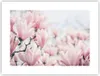 Poster - Poster ohne Rahmen - Magnolie Blumen Rosa - 40x30 Produktbild-Vorschau 1