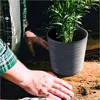 A person's hands are shown tending to a potted plant on a wooden surface. Náhled obrázku produktu