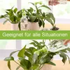 Bewässerungsaufsatz für Flaschen, 8 Stück Flaschenaufsatz Produktbild-Vorschau 4