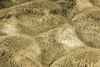 Diamond Cut 800 Honig 120cm x 120cm Produktbild-Vorschau 3