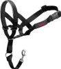 A black Halti headcollar for dogs is shown against a white background. Anteprima dell’immagine prodotto