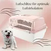 2er Set Transportbox IATA Flugbox Flugzeug Hundebox Hunde Produktbild-Vorschau 4