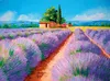 Clementoni puzzle 500 Profumo di lavanda 35073 Anteprima dell’immagine prodotto 2