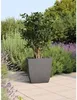 EDA 013690 G.ANT SX EDA Jardinière BASALT Diva, carrée, 435 Voir les images du produit 4