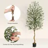 Künstlicher Olivenbaum 180 cm – Täuschend echte Produktbild-Vorschau 7