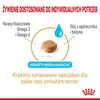 Royal Canin Yorkshire Terrier 8+, Senior, Geflügel, 3 kg Produktbild-Vorschau 6