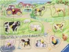 Ravensburger 00.003.689, 10 kusov, Farma Náhľad obrázku produktu 2