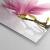 Bilder auf glas - Magnolie blume natur pflanze - 120x50cm - Produktbild-Vorschau 5