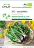 SAFLAX - BIO - pampeliška - Taraxacum officinale - 400 Náhled obrázku produktu 1