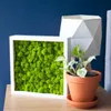 Hlboký 3D rám 30x30 cm na fotografie z machového remesla, Náhľad obrázku produktu 12