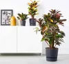 ELHO Greenville 30 runder Blumentopf - Außen - Ø 29,5 x H Produktbild-Vorschau 8
