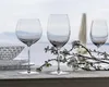 Riedel  VERITAS CABERNET/MERLOT 2 Stück 644900098 Podgląd zdjęcia produktu 19