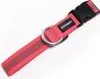 Mystique Gummiertes Halsband 30-40cm 25mm neon pink Produktbild-Vorschau 1
