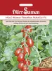Mini-Romatomate Ravello F1 | Romatomatensamen von Dürr Produktbild-Vorschau 1