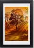 Bild 20x30 MDF-Rahmen, Wandkunst Park im Herbst Produktbild-Vorschau 1