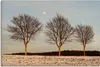ARTland Leinwandbild Abendlicht im Winter Größe: 30x20 cm Produktbild-Vorschau 1