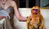 Der Goldene Kompass (DVD) Produktbild-Vorschau 5
