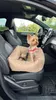 Animood Hundeautositz Julian cappucino S Hundesitz Produktbild-Vorschau 8