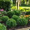 A garden bed with several small, round, green shrubs and some orange and pink flowers. Podgląd zdjęcia produktu