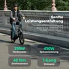 E-Bike FAFREES F20 Pro - Motor 250W Batterie 36V20Ah 20 Produktbild-Vorschau 7