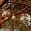 A string of solar-powered LED light bulbs hangs from tree branches. Anteprima dell’immagine prodotto