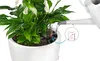A white planter with a peace lily plant, showing a watering system with a water level indicator. Voir les images du produit