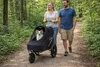 InnoPet® Fahrradanhänger/Hundebuggy "Sporty Trailer EVR" - Produktbild-Vorschau 10