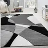 Tapis design moderne Motif géométrique Contours en noir et Voir les images du produit 1