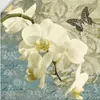 ARTland Wandbild, selbstklebend Orchideen Größe: 100x100 cm Produktbild-Vorschau 1