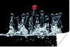 MuchoWow® Poster Beeren - Wasser - Schwarz - Obst - Produktbild-Vorschau 1